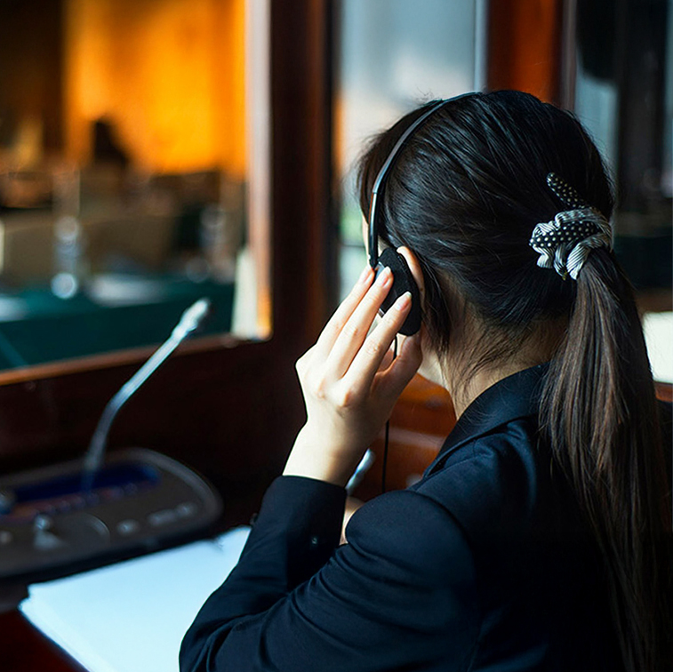 Traductor profesional