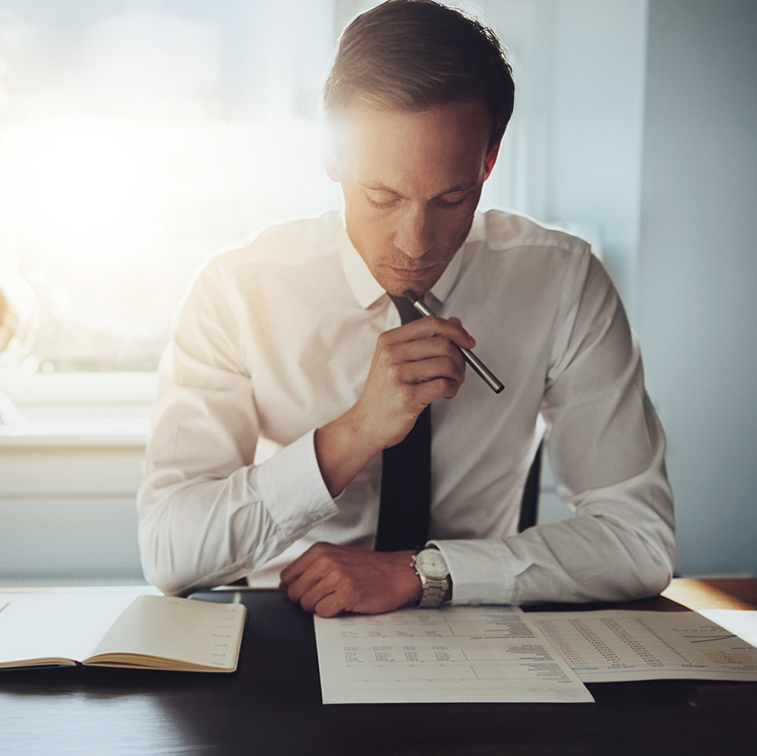 Traductor profesional